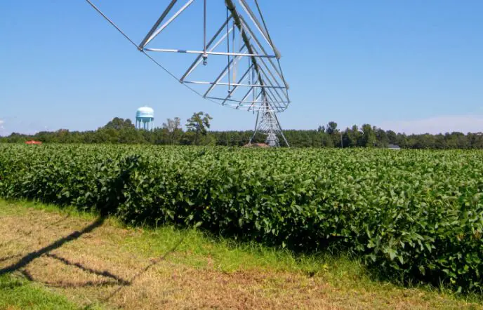Alysson Paolinelli é indicado ao Prêmio Nobel da Paz 2021
